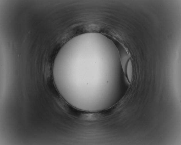 X0000083020323200703022009