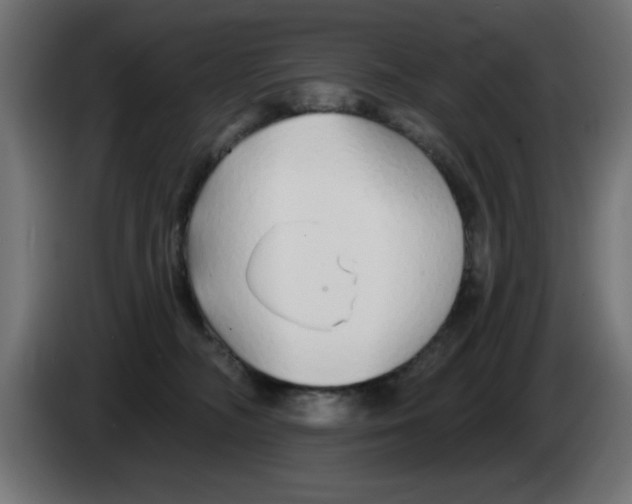 X0000083020326200703022009