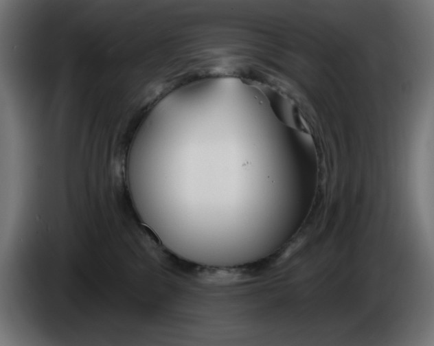 X0000083020329200703022009