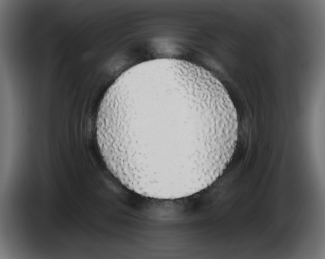 X0000083020330200703022009