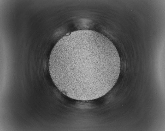 X0000083020331200703022009