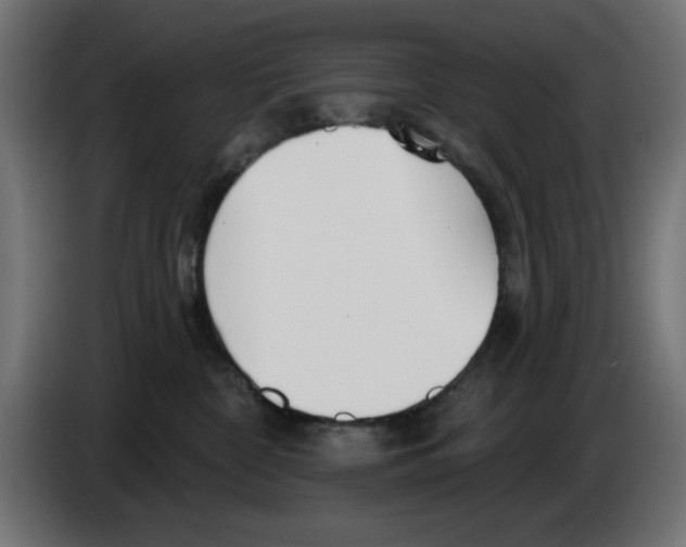 X0000083020332200703022009