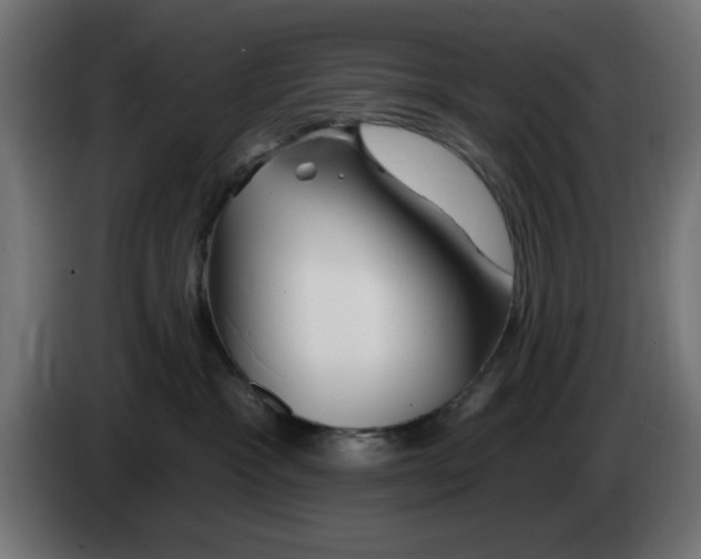 X0000083020333200703022009