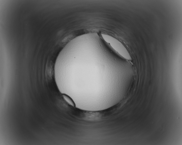 X0000083020334200703022009