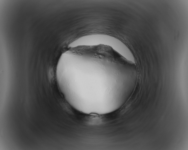 X0000083020335200703022009