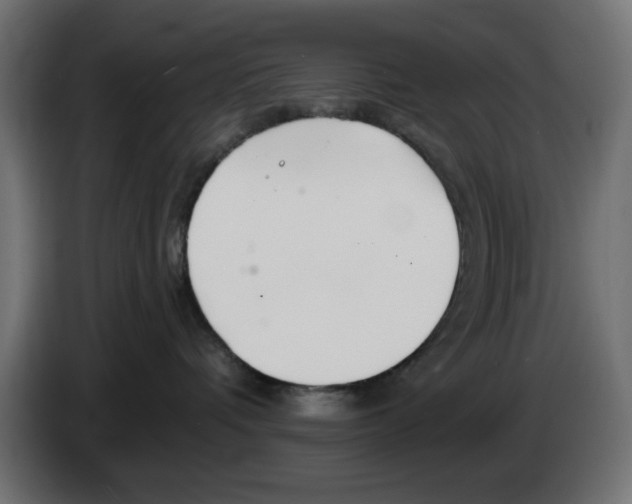 X0000083020336200703022009