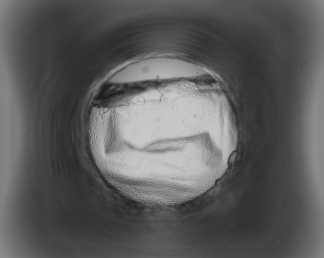 X0000083020337200703022009