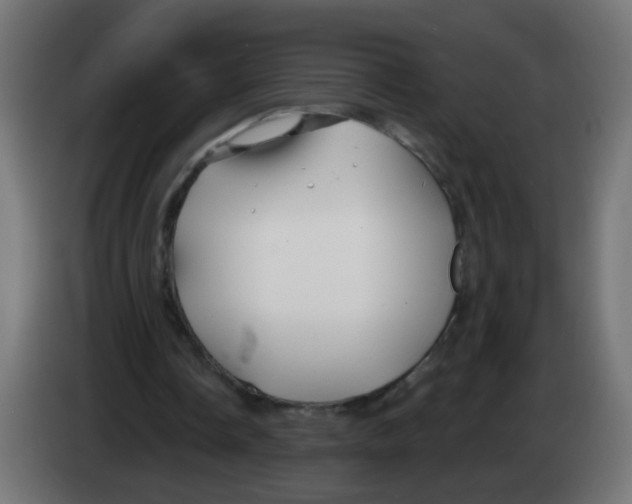 X0000083020338200703022009