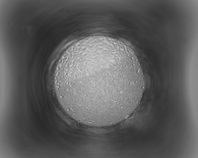 X0000083020339200703022009