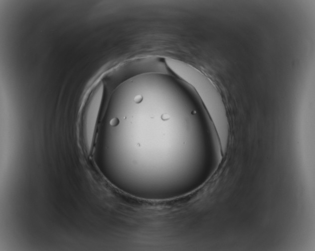 X0000083020340200703022009