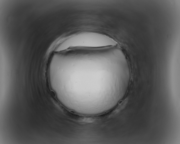 X0000083020341200703022009