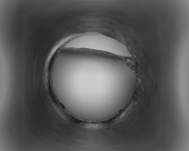 X0000083020342200703022009