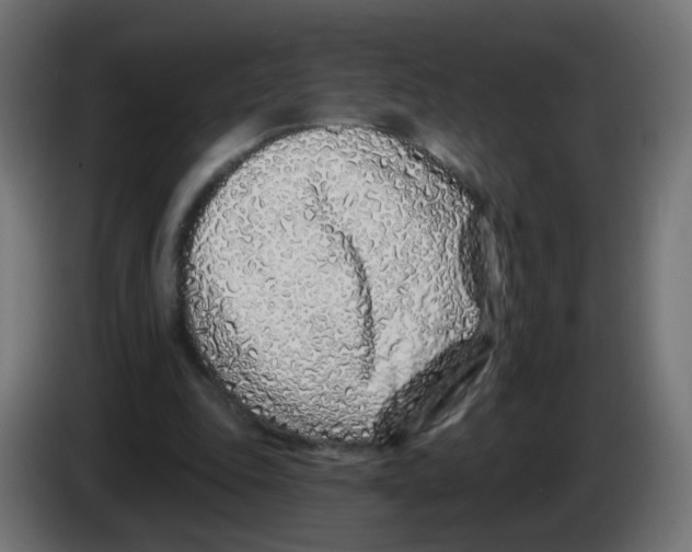 X0000083020343200703022009