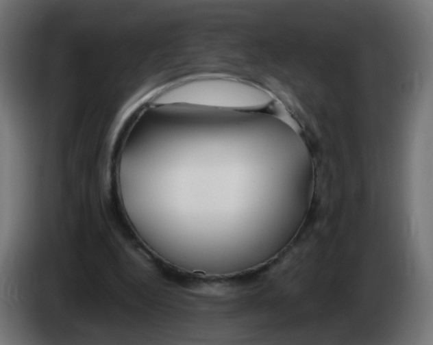 X0000083020344200703022009