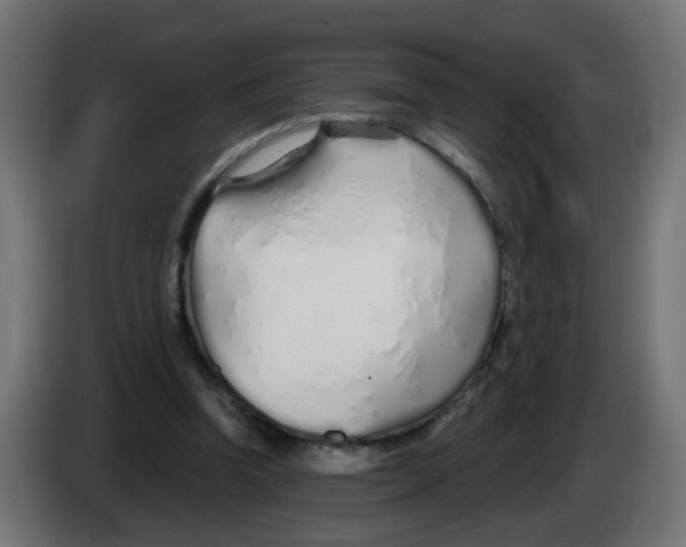 X0000083020346200703022009