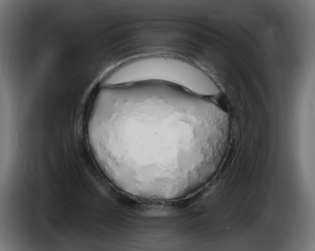 X0000083020347200703022009