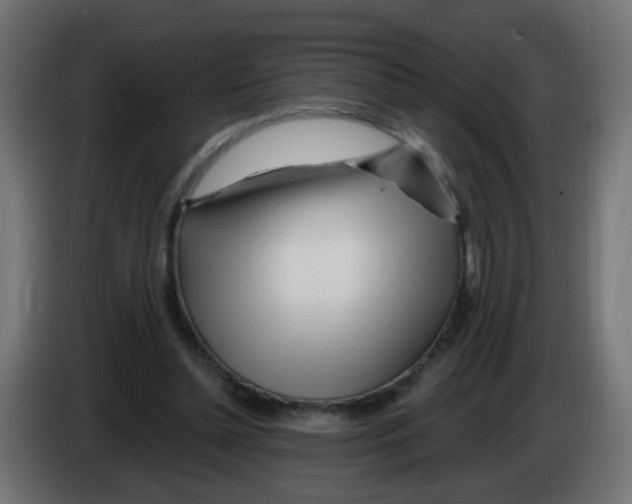 X0000083020348200703022009