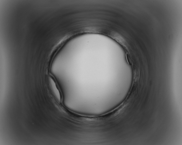 X0000083020349200703022009