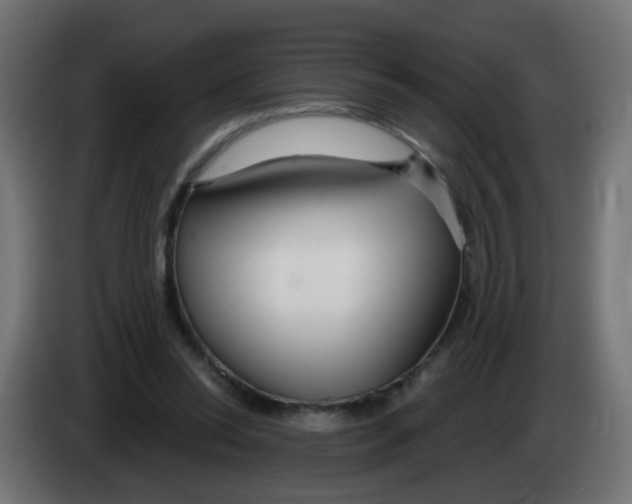 X0000083020350200703022009