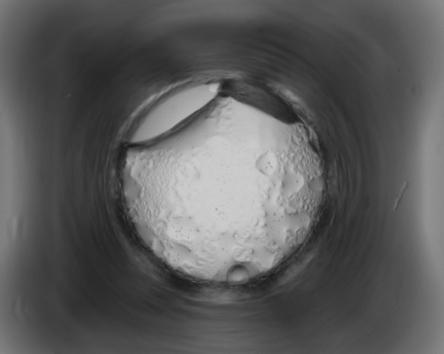 X0000083020351200703022009