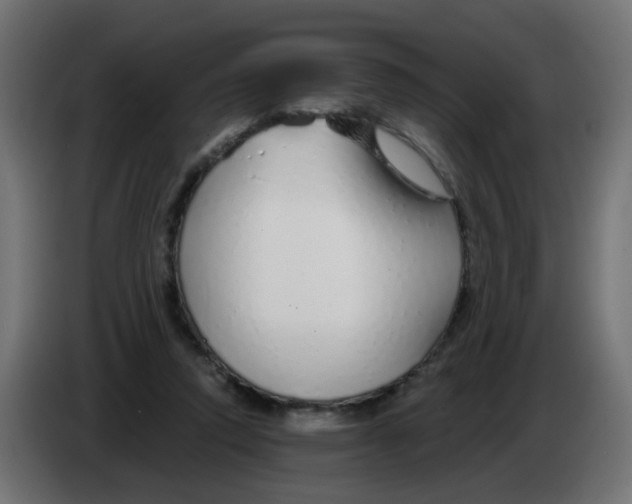 X0000083020354200703022009