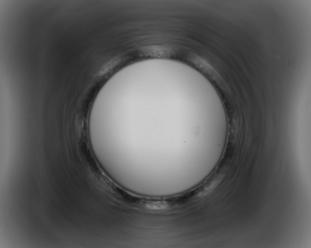 X0000083020355200703022009