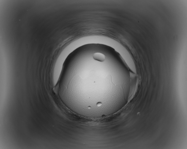 X0000083020356200703022009