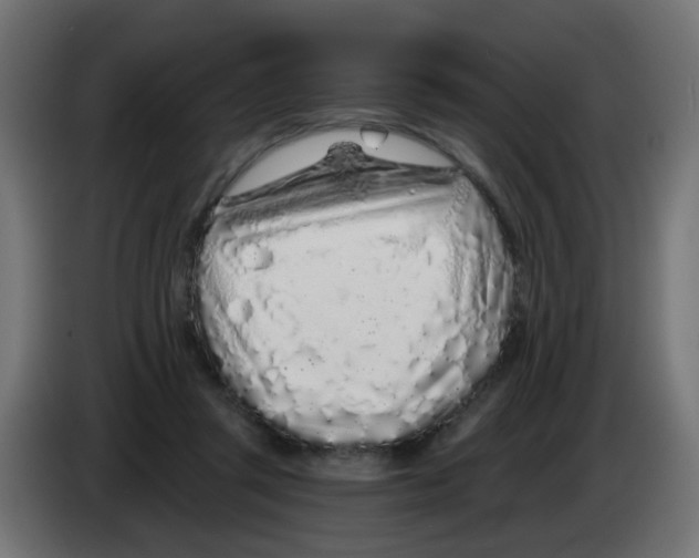 X0000083020357200703022009