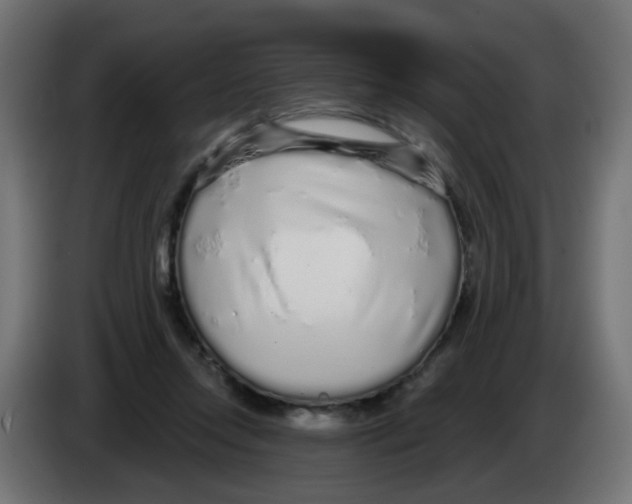 X0000083020358200703022009