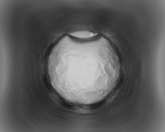 X0000083020359200703022009