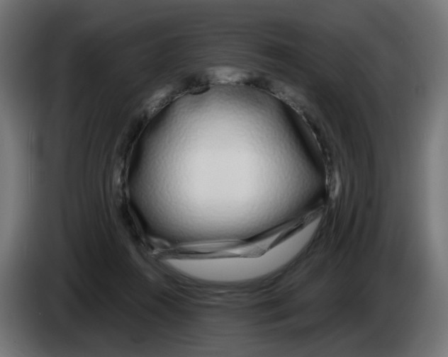 X0000083020360200703022009