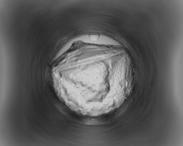 X0000083020361200703022009