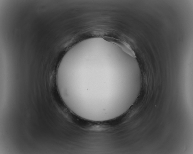 X0000083020364200703022009