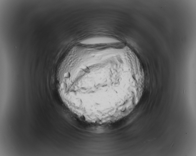 X0000083020365200703022009