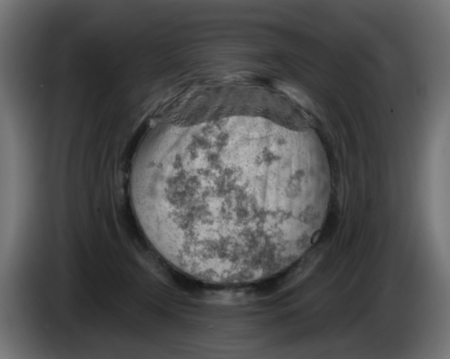 X0000083020366200703022009