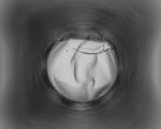 X0000083020367200703022009