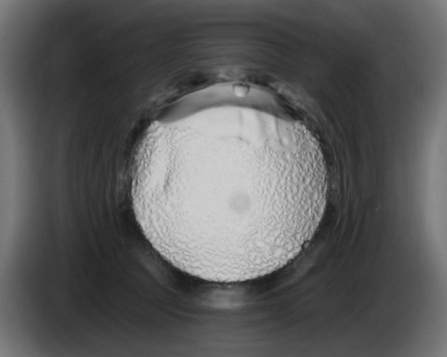 X0000083020369200703022009