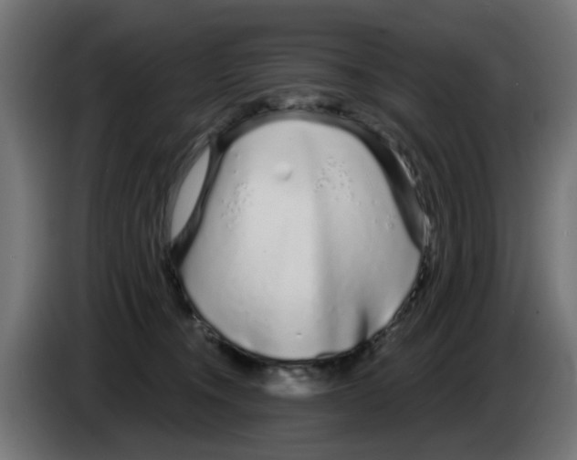 X0000083020372200703022009