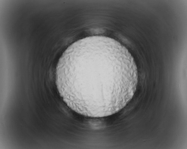 X0000083020373200703022009