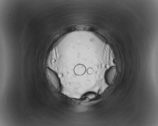 X0000083020375200703022009