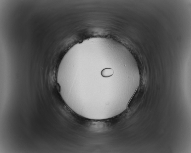 X0000083020376200703022009