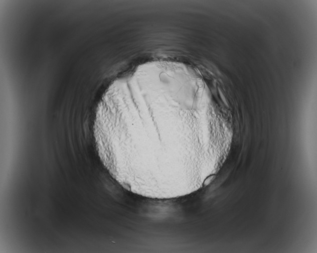 X0000083020377200703022009