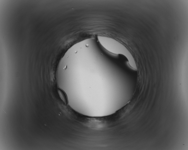 X0000083020380200703022009