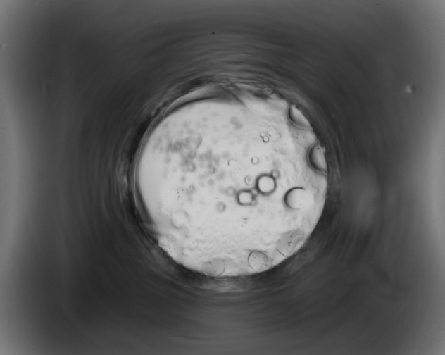 X0000083020381200703022009