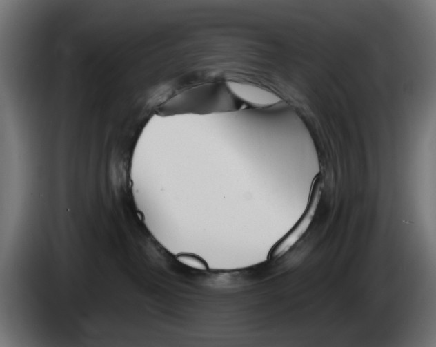 X0000083020382200703022009