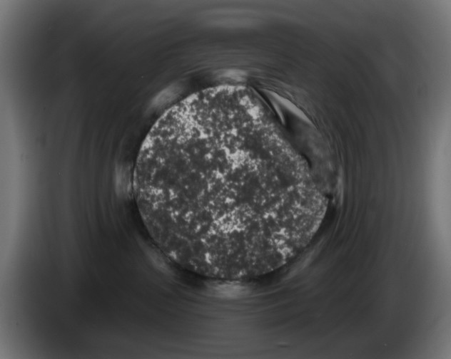 X0000083020383200703022009