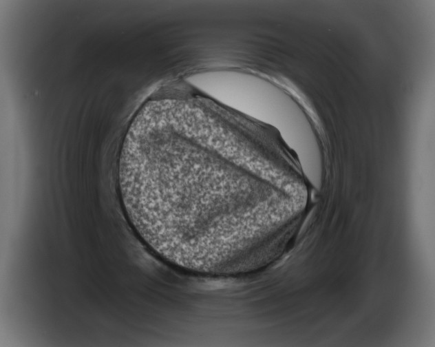 X0000083020385200703022009