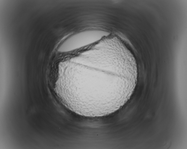 X0000083020386200703022009