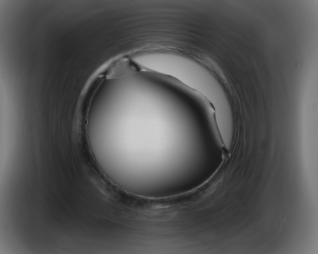 X0000083020388200703022009