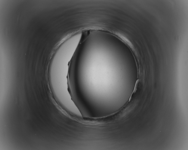 X0000083020389200703022009